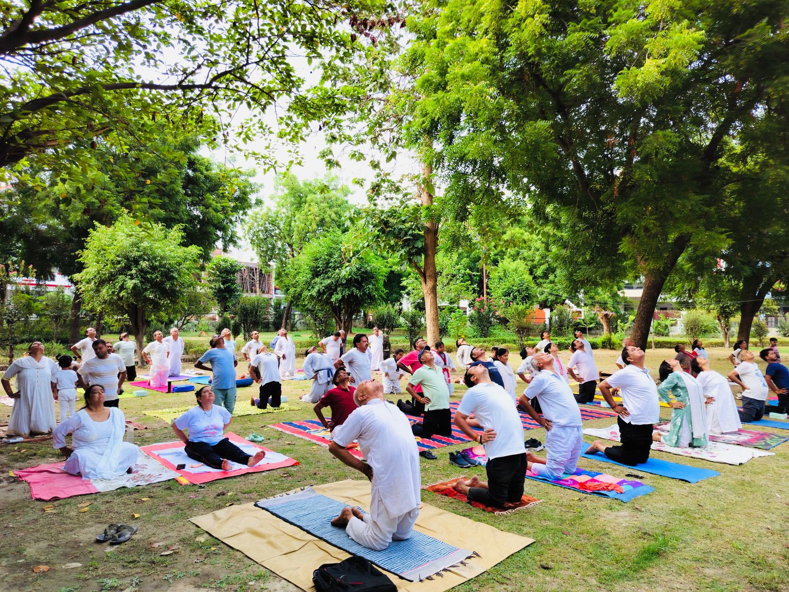संस्था के कार्यक्रम